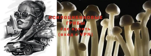 Альфа ПВП Вяземский