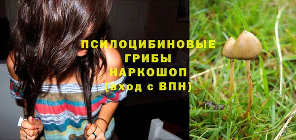 spice Вязники