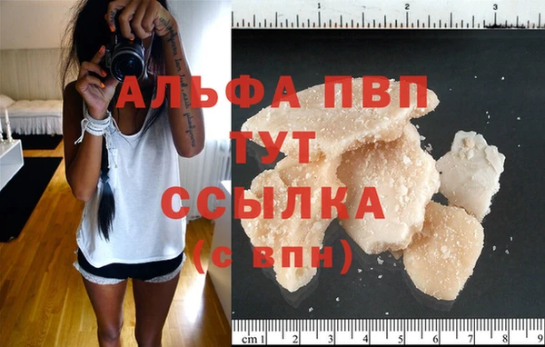 spice Вязники